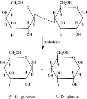 NCERT Solutions Class 11 Biology Chapter 9 - Biomolecules